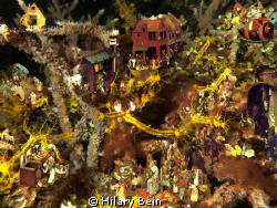 Photo reminded me of a Breughel painting so I went ahead ... by Hilary Bein 